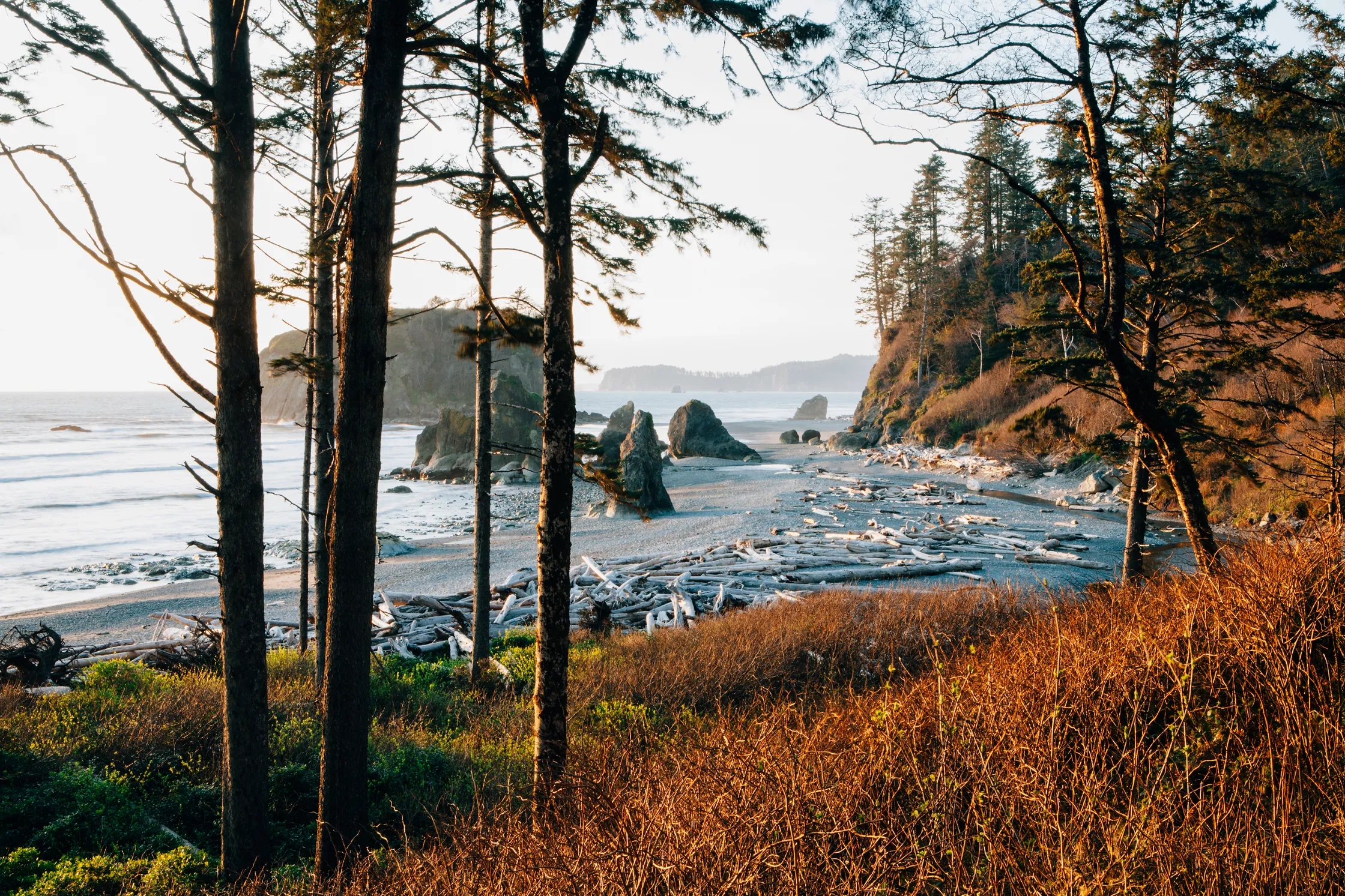 olympic national